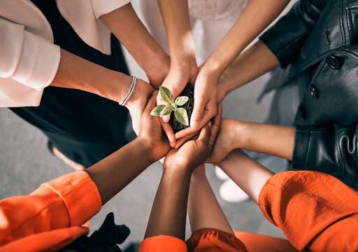 Community hands together